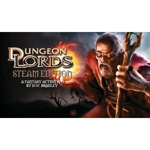 Dungeon Lords Steam Edition