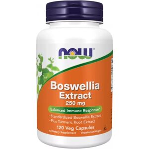 Now Foods Extrait de boswellia serrata 250mg - 120 veg caps