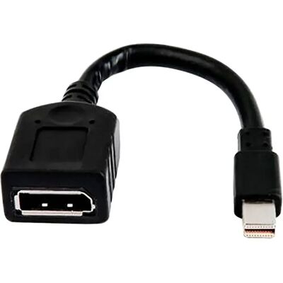 HP Câble Mini Displayport 2my05aa Black One Size - Publicité HP Câble Mini Displayport 2my05aa Black One Size - Publicité