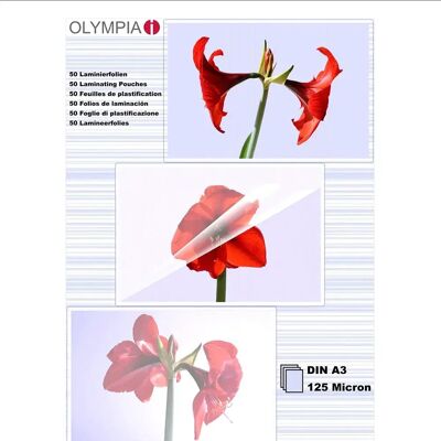 Olympia Pochette De Lamination Din A3 125 Microns 50 Unités Clear One Size unisex - Publicité Olympia Pochette De Lamination Din A3 125 Microns 50 Unités Clear One Size unisex - Publicité