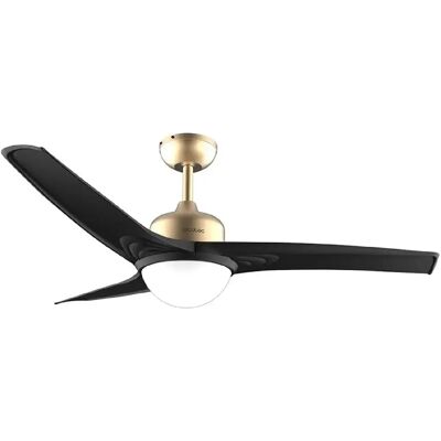 Cecotec Ventilateur De Plafond Energysilence Aero 560 Goldblack Gold / Black One Size unisex - Publicité Cecotec Ventilateur De Plafond Energysilence Aero 560 Goldblack Gold / Black One Size unisex - Publicité
