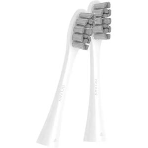 Xiaomi Remplacement De La Brosse à Dents électrique Oclean Pw01 White One Size unisex
