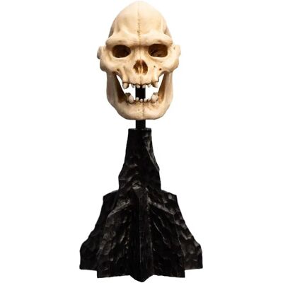 Weta Workshop Figure Lord Of The Rings Mini Skull Of Lurtz 14 Cm Multicolor One Size unisex - Publicité Weta Workshop Figure Lord Of The Rings Mini Skull Of Lurtz 14 Cm Multicolor One Size unisex - Publicité