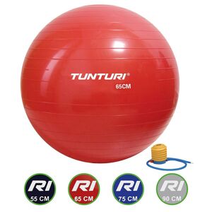 Tunturi Gym Ball Fitball Rouge 75 cm