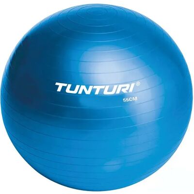 Ballon de Gym Tunturi - Bleu - 75cm - Ball de Fitness - Publicité Ballon de Gym Tunturi - Bleu - 75cm - Ball de Fitness - Publicité