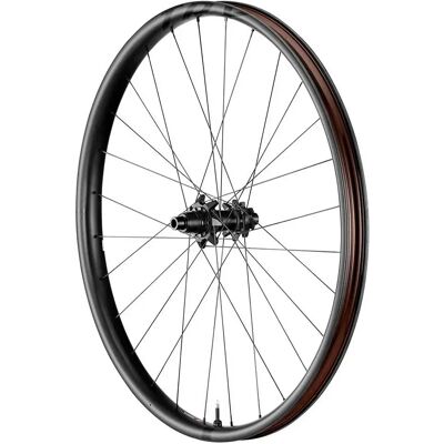 Giant Roue Arrière De Vtt Trx 29´´ Boost 6b Disc Tubeless Hookless - Publicité Giant Roue Arrière De Vtt Trx 29´´ Boost 6b Disc Tubeless Hookless - Publicité
