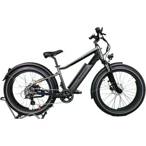 Rad Power Bikes FatBike électrique - RadRhino 6 Plus High