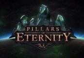 Kinguin Pillars of Eternity Edition Hero RU VPN Required Clé Steam