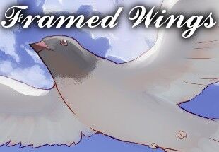 Kinguin Framed Wings Steam CD Key