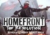 Kinguin Homefront: The Revolution - Revolutionary Spirit Pack Clé  Steam