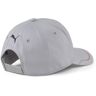 Puma Mercedes Amg Petronas F1 Bb Cap Gris  Homme