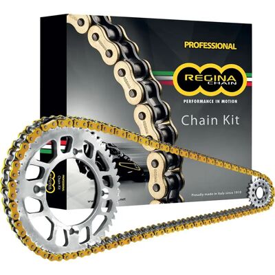 Regina Kit De Transmission 520 Zse Ktm Duke 125 11-12/duke 125 Abs 2013 Black / Gold 14t - Publicité Regina Kit De Transmission 520 Zse Ktm Duke 125 11-12/duke 125 Abs 2013 Black / Gold 14t - Publicité