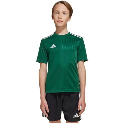 Adidas Campeon 25 Enfants Vert - T-shirt pour enfants - Publicité Adidas Campeon 25 Enfants Vert - T-shirt pour enfants - Publicité