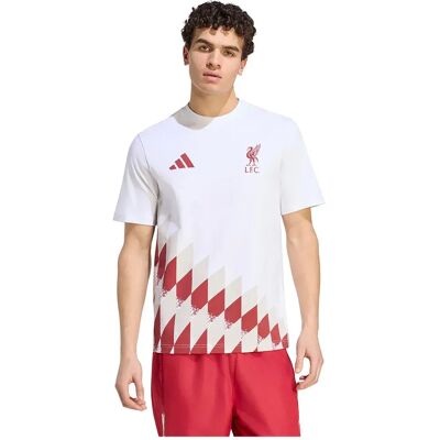 Adidas T-shirt à Manches Courtes Liverpool Fc Stadium Graphic White / Active Maroon M - Publicité Adidas T-shirt à Manches Courtes Liverpool Fc Stadium Graphic White / Active Maroon M - Publicité