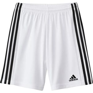 Adidas Short Squadra 21 White / Black 11-12 Années Garçon - Publicité Adidas Short Squadra 21 White / Black 11-12 Années Garçon - Publicité