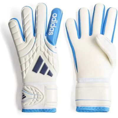 Adidas Gants De Gardien De But Junior Copa League Zero Metallic / Lucid Ray Blue / Dark Blue 5.5 unisex - Publicité Adidas Gants De Gardien De But Junior Copa League Zero Metallic / Lucid Ray Blue / Dark Blue 5.5 unisex - Publicité