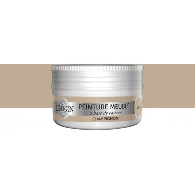 Peinture meuble et boiserie Caséine LIBERON champignon mat 75 ml - Publicité Peinture meuble et boiserie Caséine LIBERON champignon mat 75 ml - Publicité
