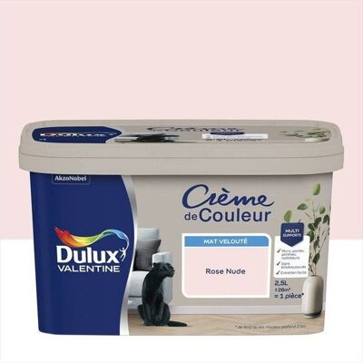 Dulux Valentine Peinture Rose Nude Mate pour murs et meubles - Intérieur - Publicité Dulux Valentine Peinture Rose Nude Mate pour murs et meubles - Intérieur - Publicité
