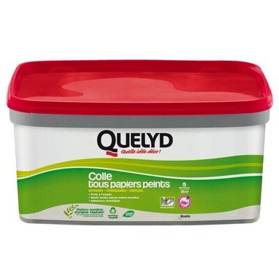 Colle Pate tous papiers peints QUELYD, 3 kg - Publicité Colle Pate tous papiers peints QUELYD, 3 kg - Publicité