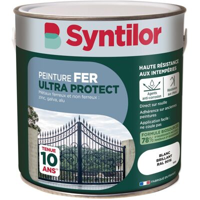Peinture extérieure fer Ultra protect SYNTILOR blanc brillant 2L - Publicité Peinture extérieure fer Ultra protect SYNTILOR blanc brillant 2L - Publicité