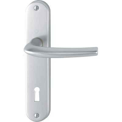 Centrale Brico 2 Poignées De Porte San Diego Trou De Clé, Aluminium Entraxe 165 Mm - Publicité Centrale Brico 2 Poignées De Porte San Diego Trou De Clé, Aluminium Entraxe 165 Mm - Publicité