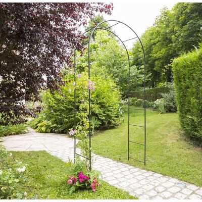 Nortene - Arc de mariage, 2m×1,5m, métal, fleurs, ballons - Décoration - Publicité Nortene - Arc de mariage, 2m×1,5m, métal, fleurs, ballons - Décoration - Publicité