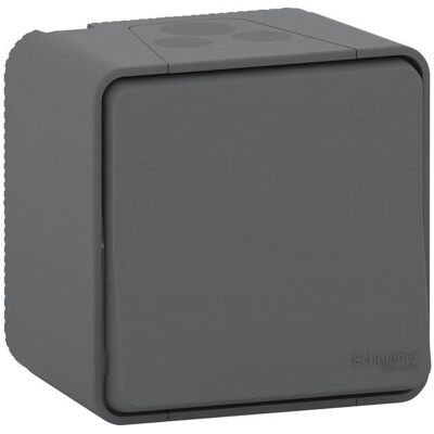 SCHNEIDER ELECTRIC Interrupteur va-et-vient étanche complet, Mureva, gris anthracite - Publicité SCHNEIDER ELECTRIC Interrupteur va-et-vient étanche complet, Mureva, gris anthracite - Publicité