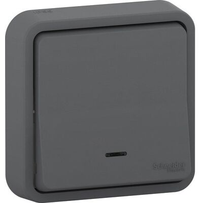 Poussoir lumineux étanche complet Mureva Styl, SCHNEIDER ELECTRIC, anthracite - Publicité Poussoir lumineux étanche complet Mureva Styl, SCHNEIDER ELECTRIC, anthracite - Publicité