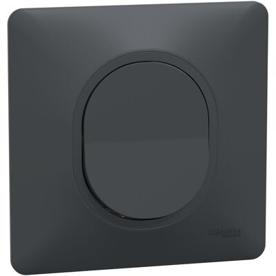 Lot de 5 interrupteurs va-et-vient complet Ovalis SCHNEIDER ELECTRIC, anthracite - Publicité Lot de 5 interrupteurs va-et-vient complet Ovalis SCHNEIDER ELECTRIC, anthracite - Publicité