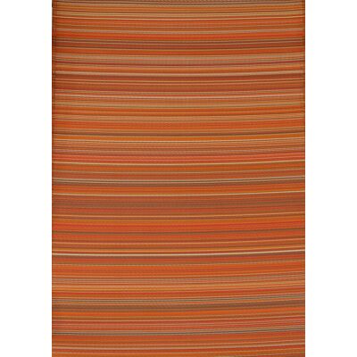 PROLOISIRS Tapis extérieur polypropylène recyclé 150 x 240 cm - Havane TC - Publicité PROLOISIRS Tapis extérieur polypropylène recyclé 150 x 240 cm - Havane TC - Publicité