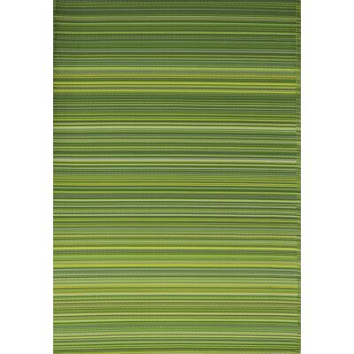 PROLOISIRS Tapis extérieur polypropylène recyclé 180 x 270 cm - Havane vert - Publicité PROLOISIRS Tapis extérieur polypropylène recyclé 180 x 270 cm - Havane vert - Publicité