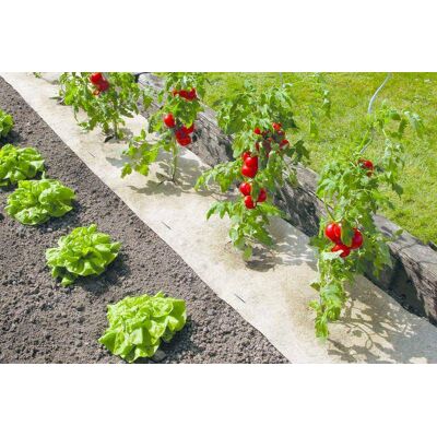 NORTENE Paillage naturel 50 x 300 cm - pour jardin et potager 100% biodégradable - 500 g/m2 - Publicité NORTENE Paillage naturel 50 x 300 cm - pour jardin et potager 100% biodégradable - 500 g/m2 - Publicité