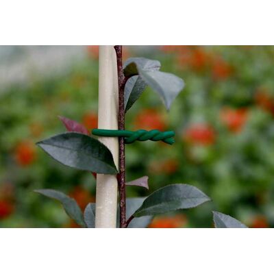 NORTENE Lien mousse BIFLEX pour plantes fragiles - ø 3,5 mm - Publicité NORTENE Lien mousse BIFLEX pour plantes fragiles - ø 3,5 mm - Publicité