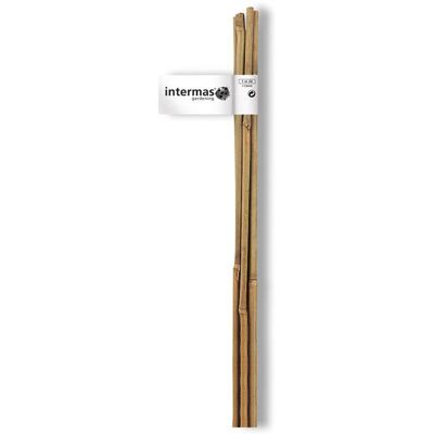 Lot de 4 tuteurs bambou droit NORTENE H.0.9 m - Publicité Lot de 4 tuteurs bambou droit NORTENE H.0.9 m - Publicité