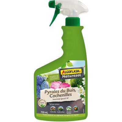 Algoflash Traitement Pyrales du buis cochenilles - Publicité Algoflash Traitement Pyrales du buis cochenilles - Publicité