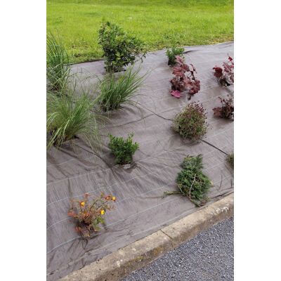 Celloplast - Weedsol 1,25 x 25 m - Marron - Polypropylène 90 g/m2 - Toile de paillage - Publicité Celloplast - Weedsol 1,25 x 25 m - Marron - Polypropylène 90 g/m2 - Toile de paillage - Publicité