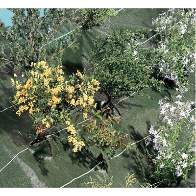 Tissu de paillage Agrosol Nortene - 1,25x10m, Vert, Durable, Résistant UV - Publicité Tissu de paillage Agrosol Nortene - 1,25x10m, Vert, Durable, Résistant UV - Publicité