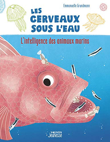 Les cerveaux sous l'eau : l'intelligence des animaux marins Emmanuelle Grundmann Vagnon