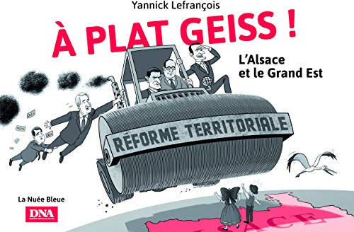 A plat geiss ! : l'Alsace et le Grand Est : chronique de la réforme territoriale à travers les meill Yannick Lefrançois Nuée bleue