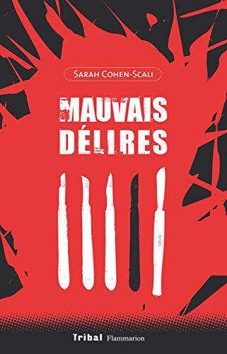 Mauvais délires Sarah Cohen-Scali Flammarion