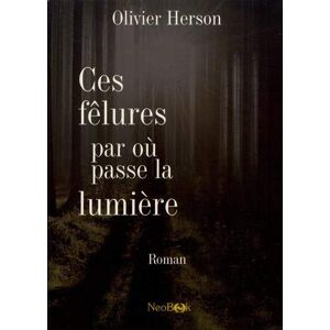 Ces fêlures par où passe la lumière  olivier herson NeoBook