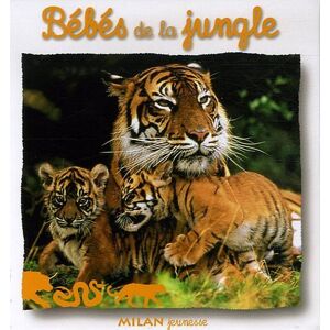Bébés de la jungle Natacha Scheidhauer-Fradin Milan jeunesse - Publicité