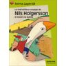 Le merveilleux voyage de Nils Holgersson à travers la Suède Selma Lagerlöf Castor poche-Flammarion