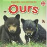 Regardez, nous sommes des ours : 3-5 ans Molly Grooms, Lucia Guarnotta Yoyo