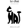 Le chat Céline Lamour-Crochet Mouck