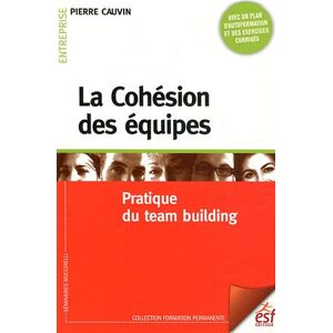La cohésion des équipes : pratique du team building Pierre