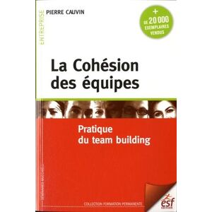 La cohésion des équipes : pratique du team building Pierre