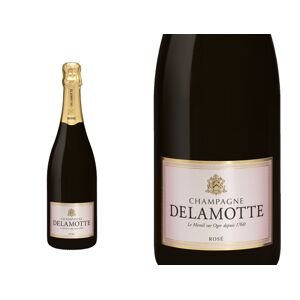 CHAMPAGNE SALON-DELAMOTTE Champagne Delamotte Brut rosé en Solde