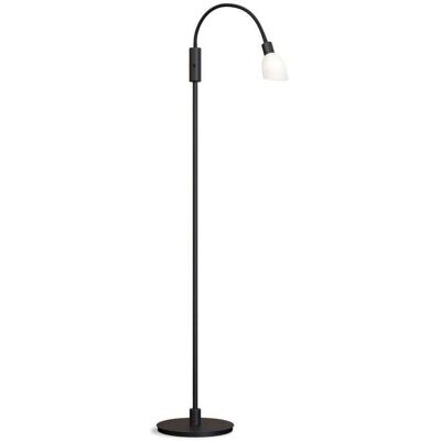 Herstal Belid Lampe sur pied - Verre opale noir - G9 - Lampadaire - Publicité Herstal Belid Lampe sur pied - Verre opale noir - G9 - Lampadaire - Publicité
