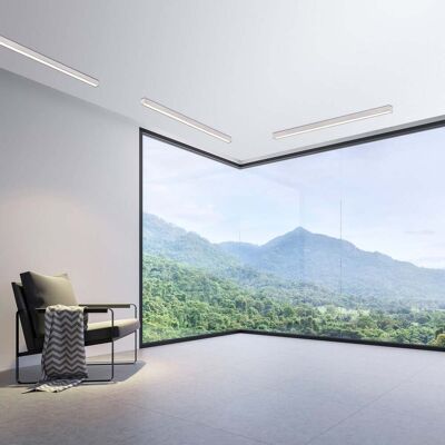 Paul Neuhaus Pure-Lines LED Plafond - Dimmable, CCT, Aluminium - Publicité Paul Neuhaus Pure-Lines LED Plafond - Dimmable, CCT, Aluminium - Publicité